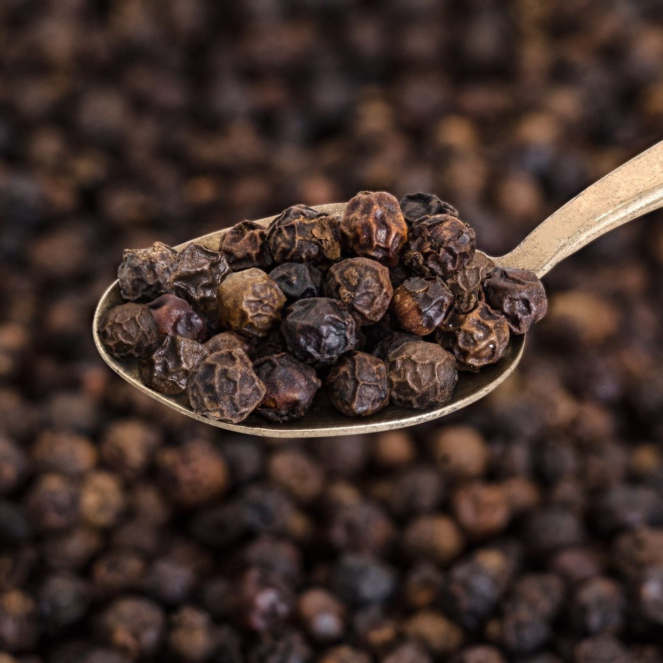 Whole Black Pepper on Old Spoon